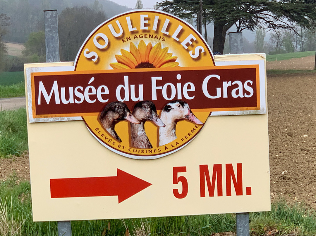 Musée du Foie Gras景点图片