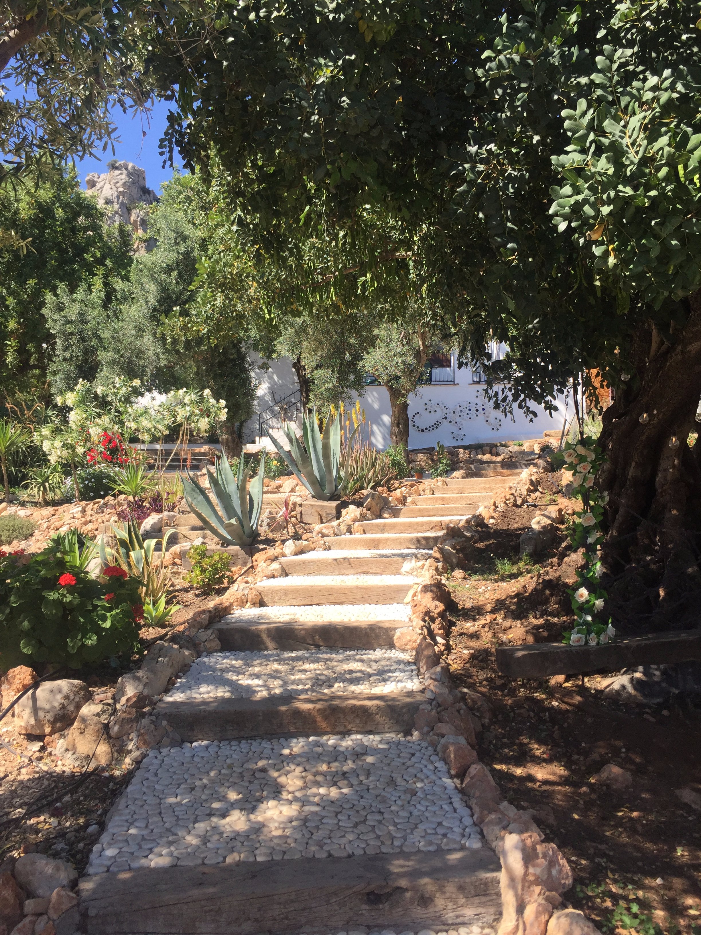 The Olive Branch El Chorro-泳池