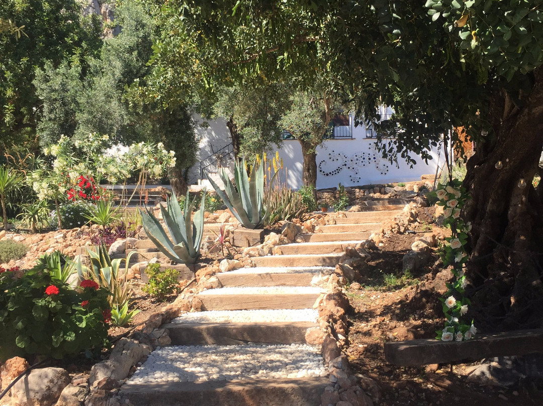 The Olive Branch El Chorro主图