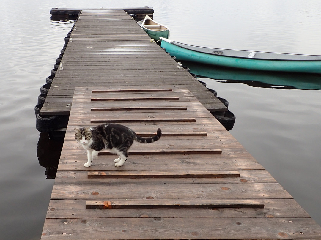 鹰巢山度假村主图