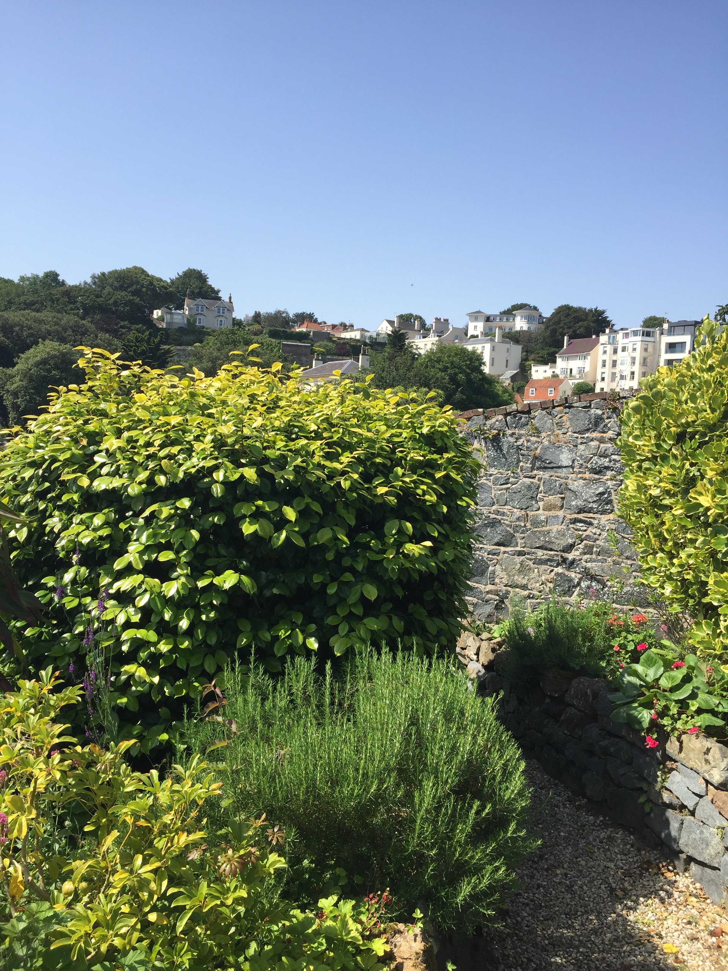 The Pandora Hotel-portrait