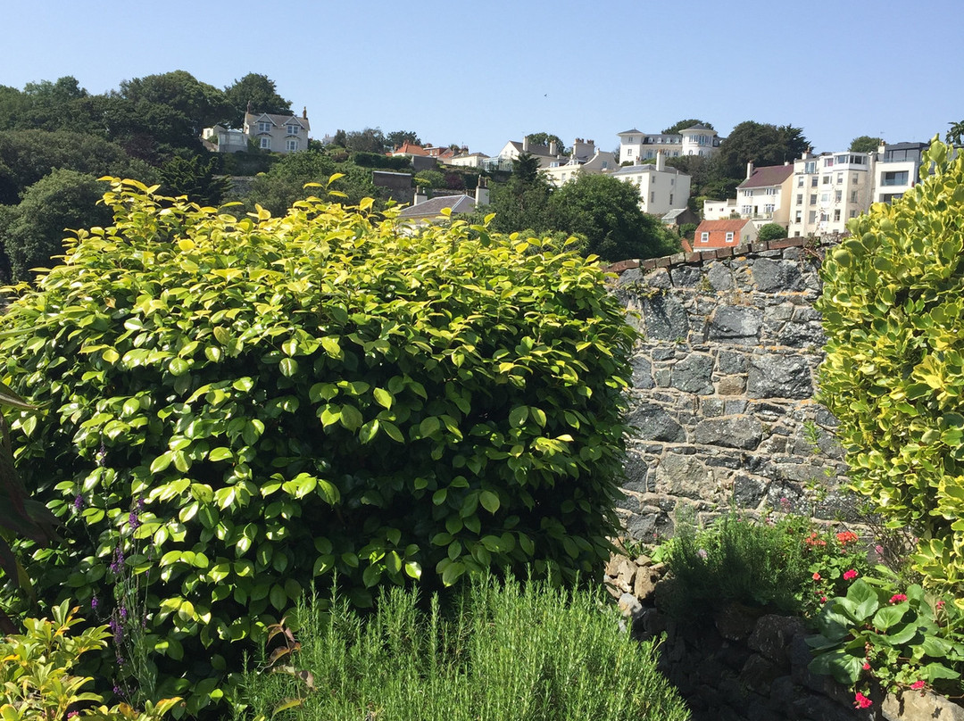 The Pandora Hotel主图