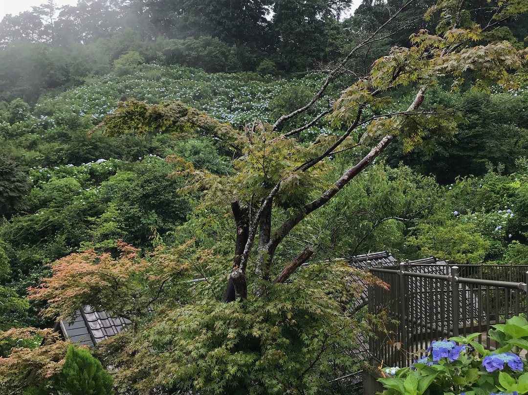 Mamenbara Tenbaien-大多喜町必去景点