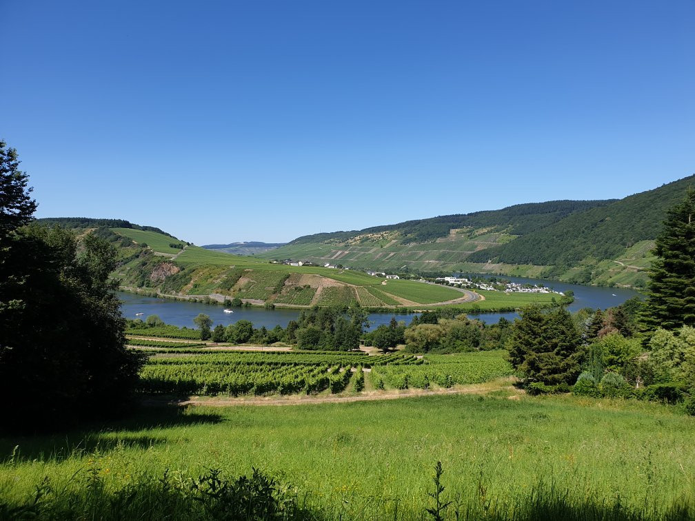 Weingut & Gastehaus Frick景点图片