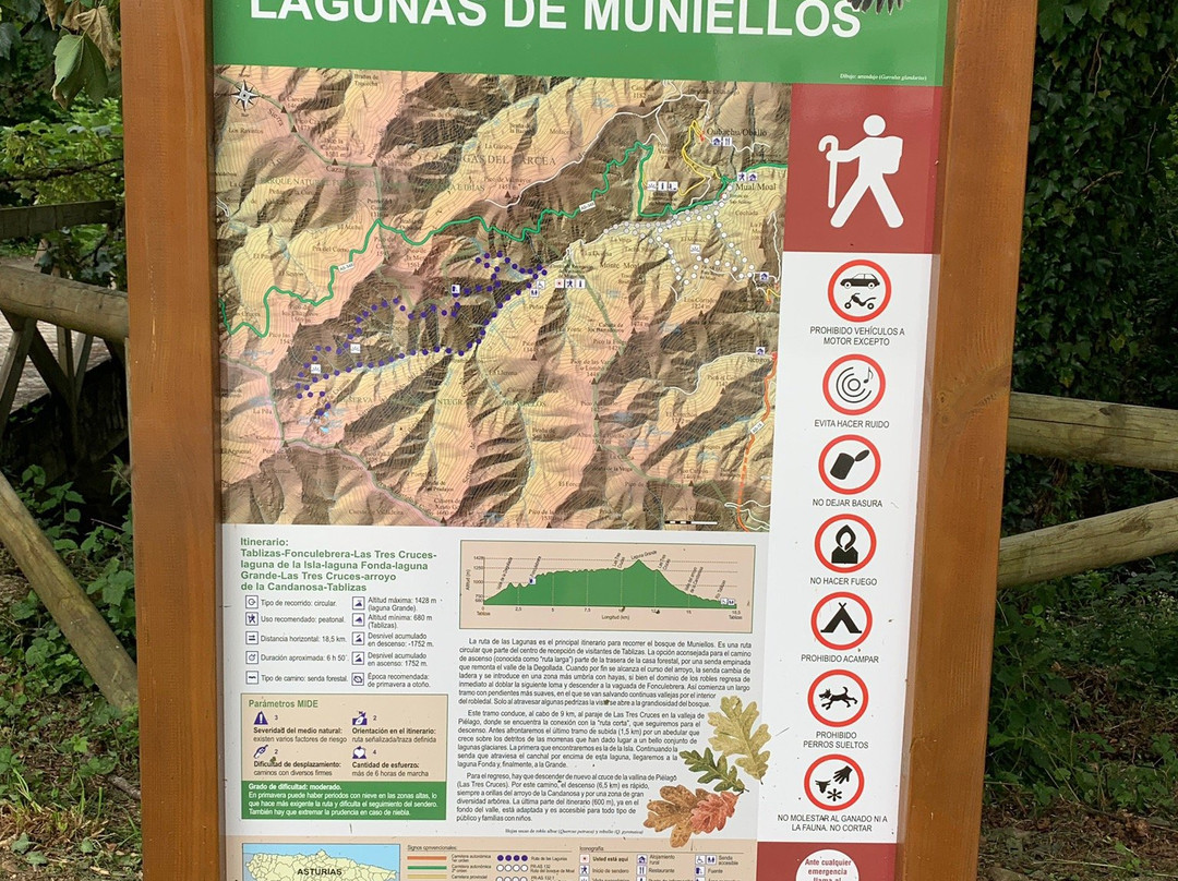 Reserva Natural Integral de Muniellos景点图片