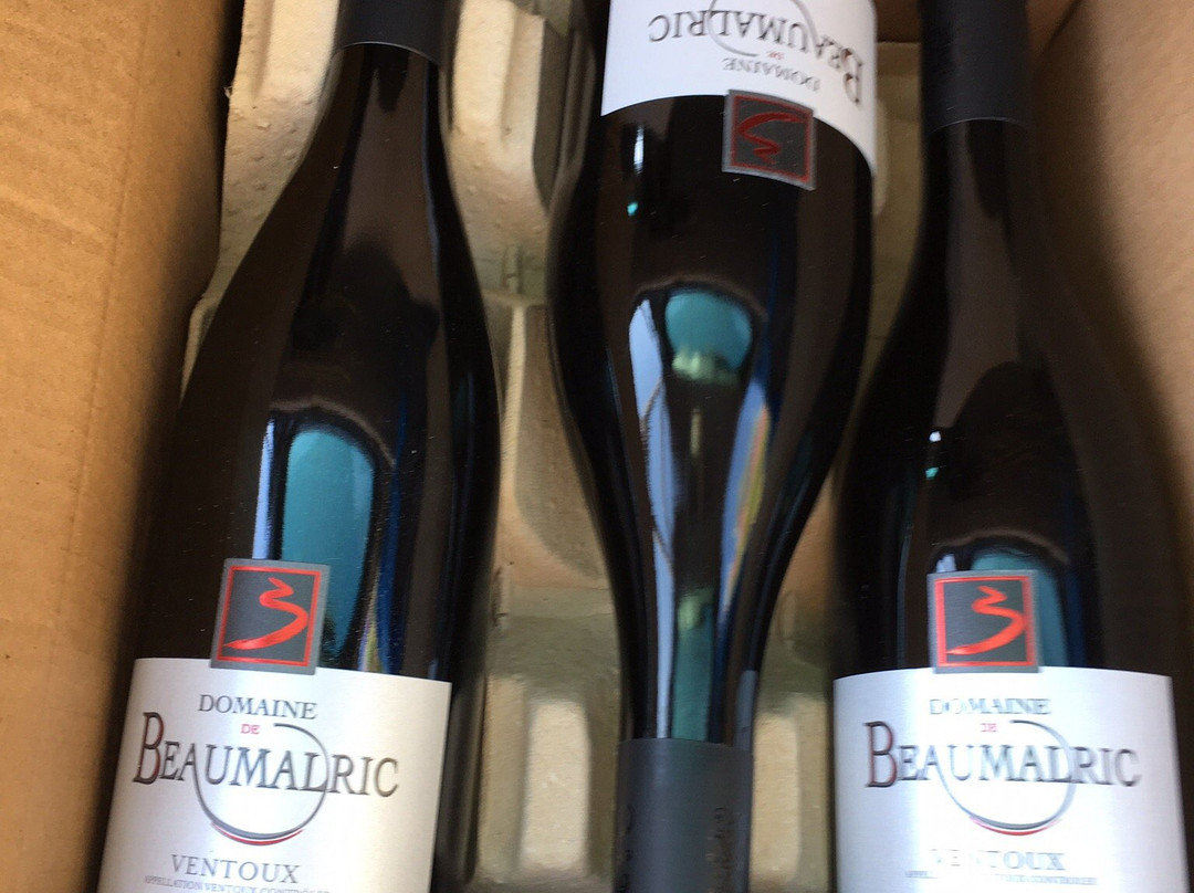 Caveau Xavier Vins - Domaine de Beaumalric景点图片
