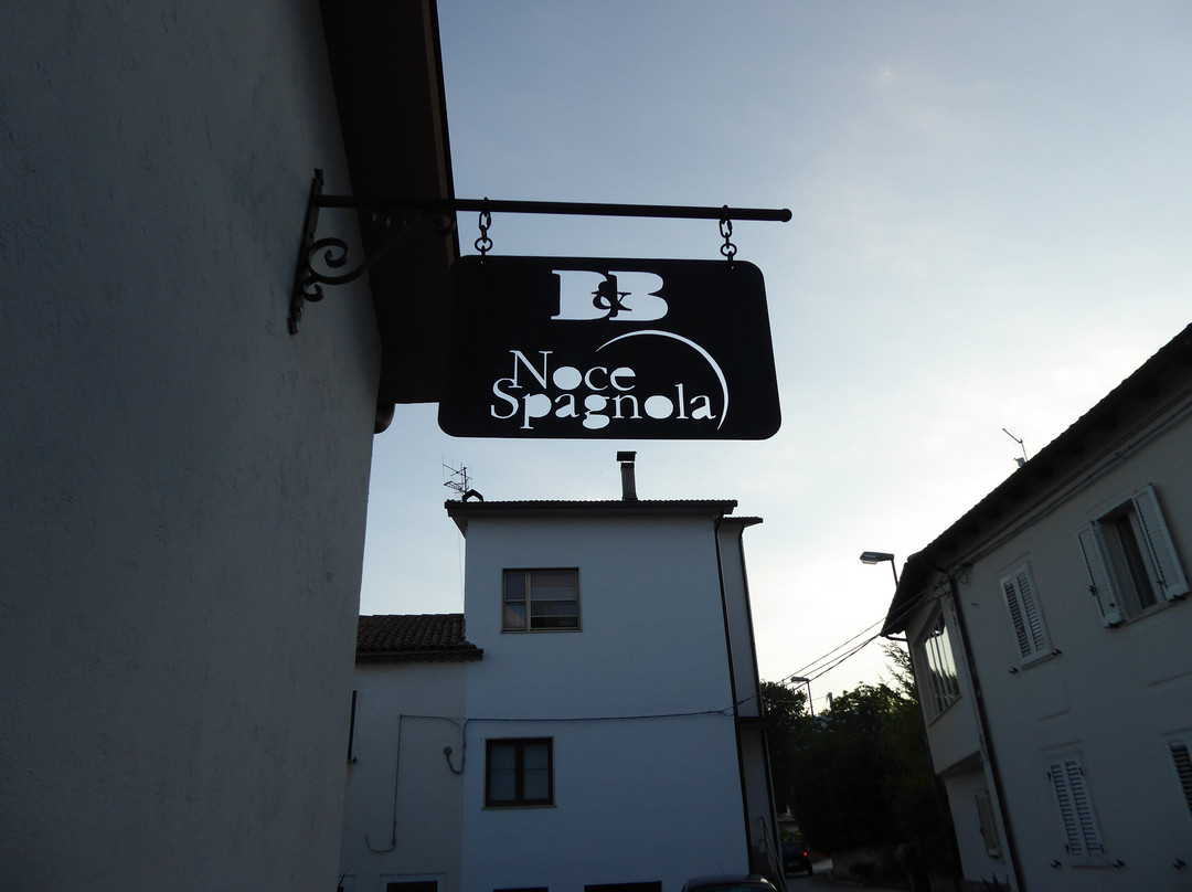 B&B Noce Spagnola主图