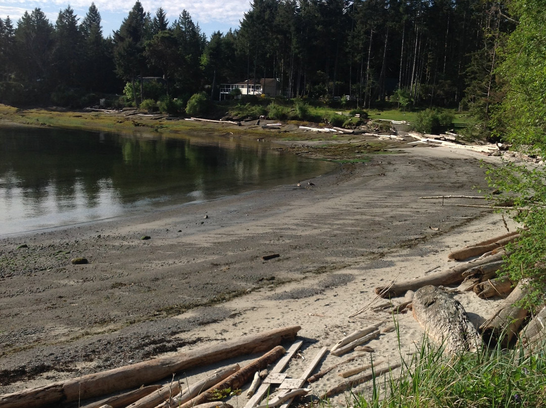 The Sands of Morning Beach Bed & Breakfast主图