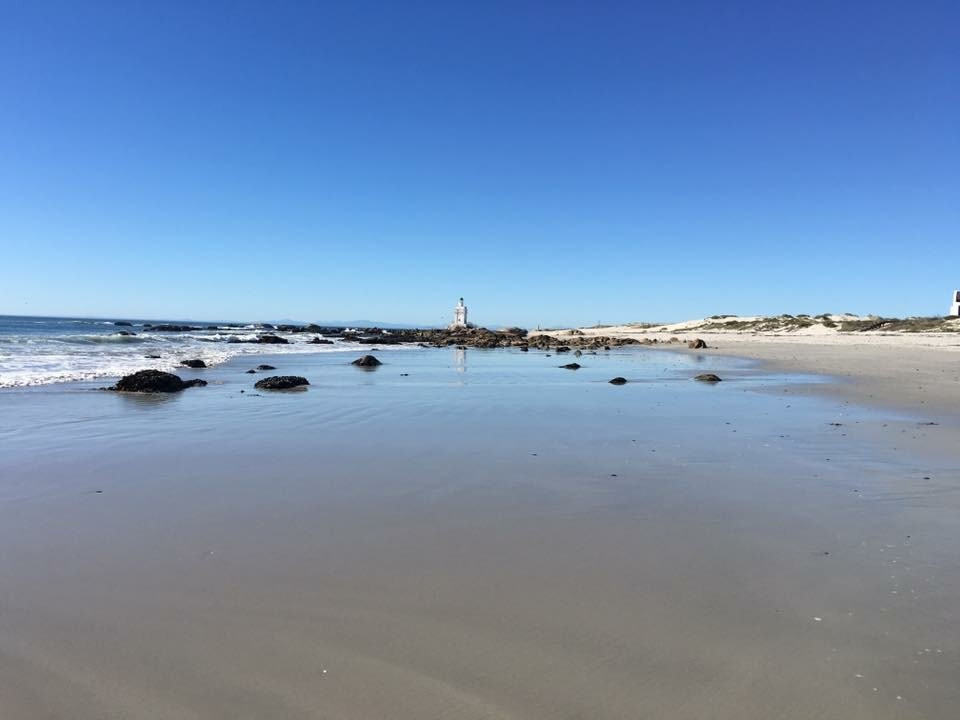 Mussel Cracker主图