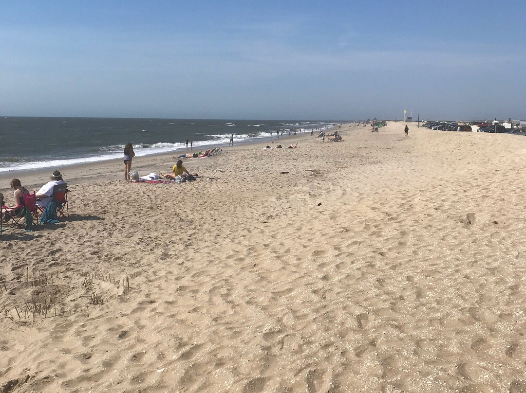 Assateague Beach景点图片