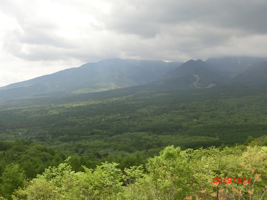 Yatsugatake Chushin Highland Park景点图片