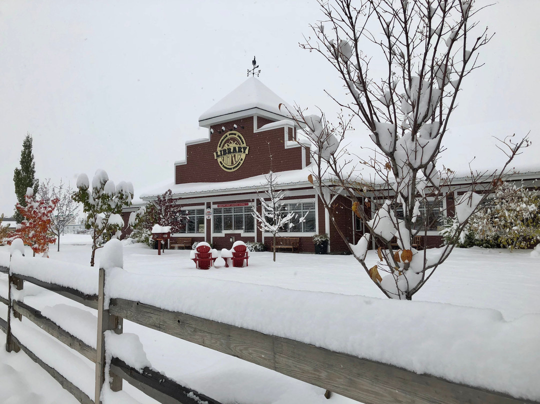 Cochrane Public Library-科克伦必去景点