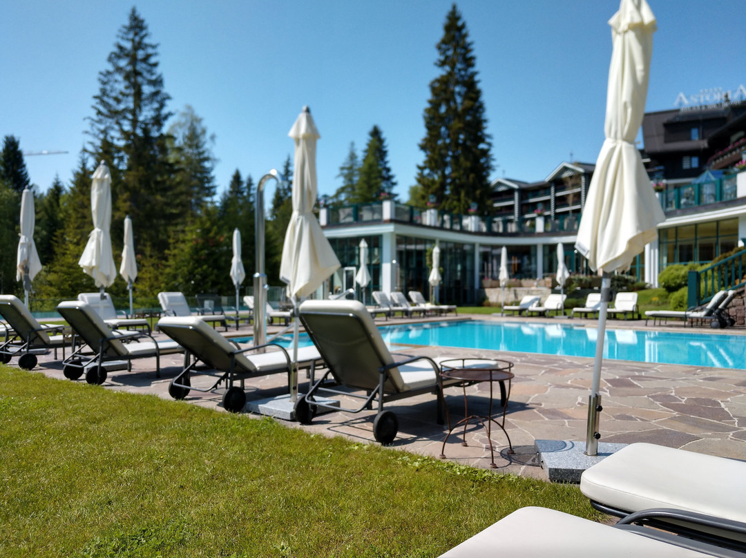 Alpin Resort Sacher主图