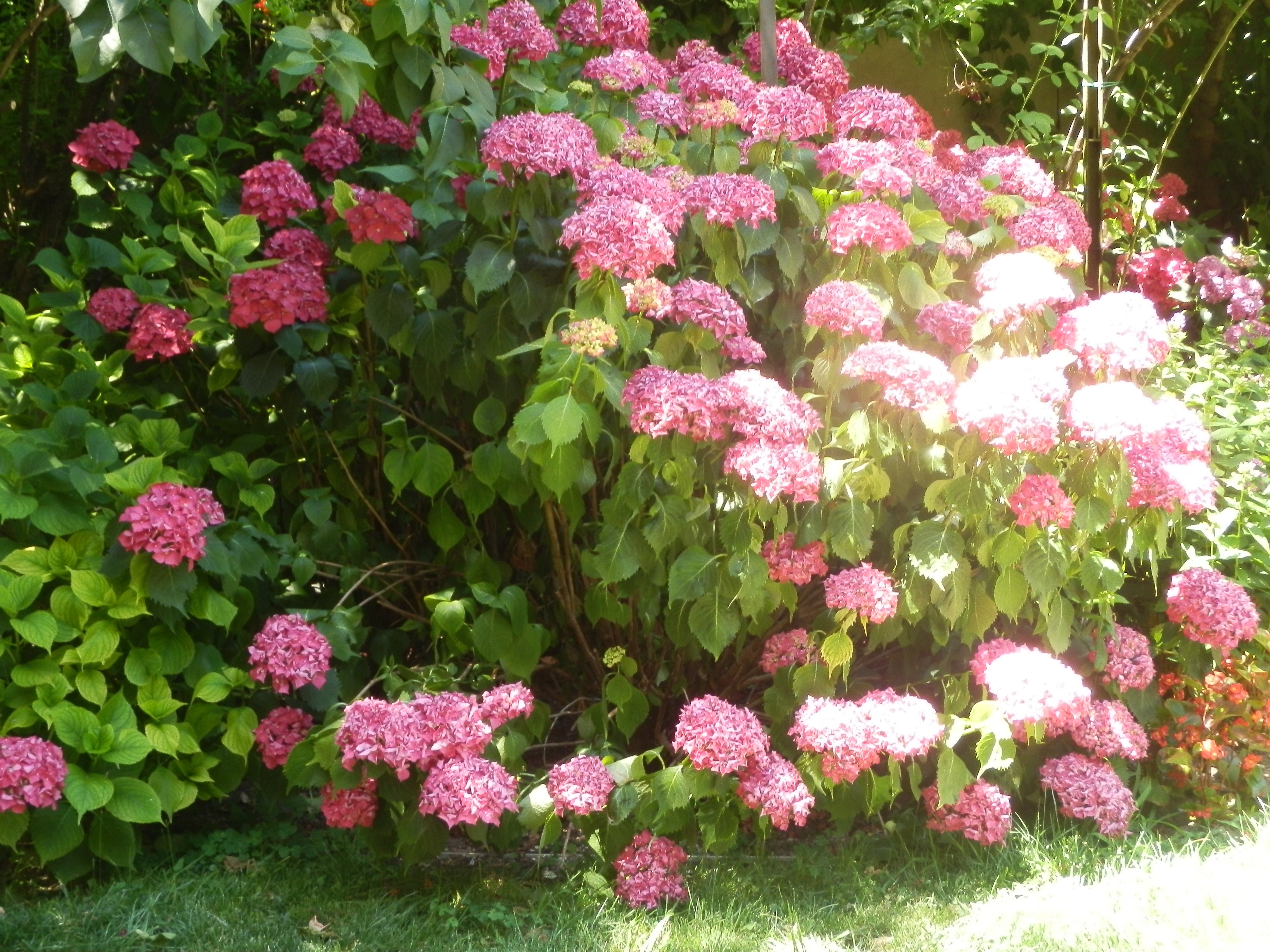 中央公寓酒店-浴室