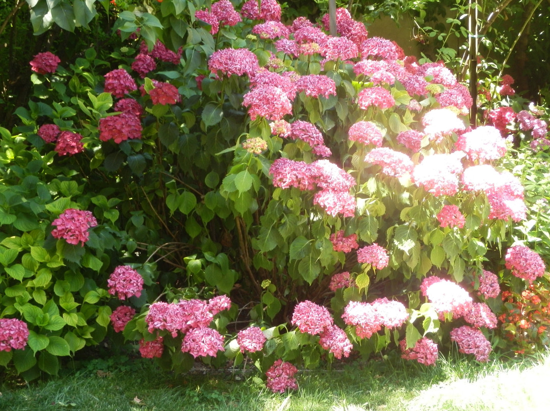 中央公寓酒店主图