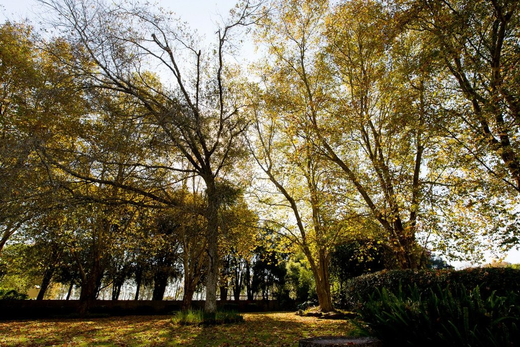 Lindisfarne B&B主图