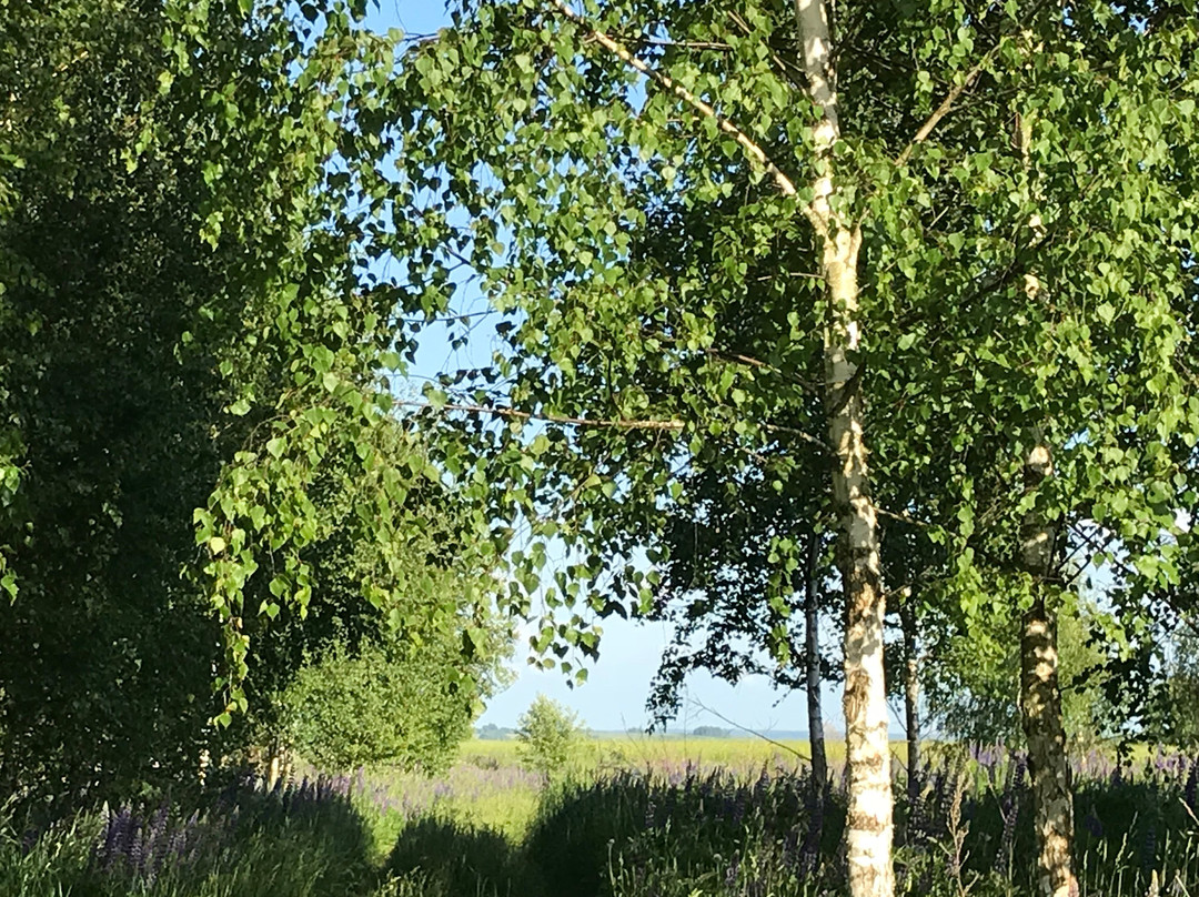 Mini-Hotel Vysokoe主图