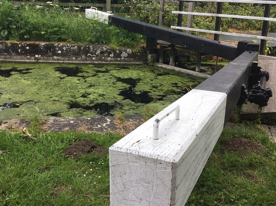 Driffield Canal-Driffield必去景点