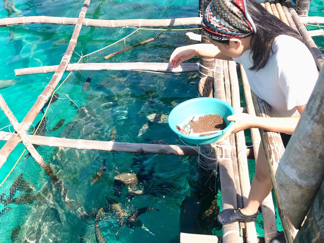 Juag Fish Sanctuary-Matnog必去景点