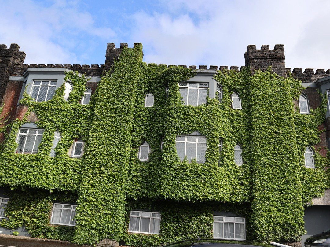 The Burren Castle Hotel主图