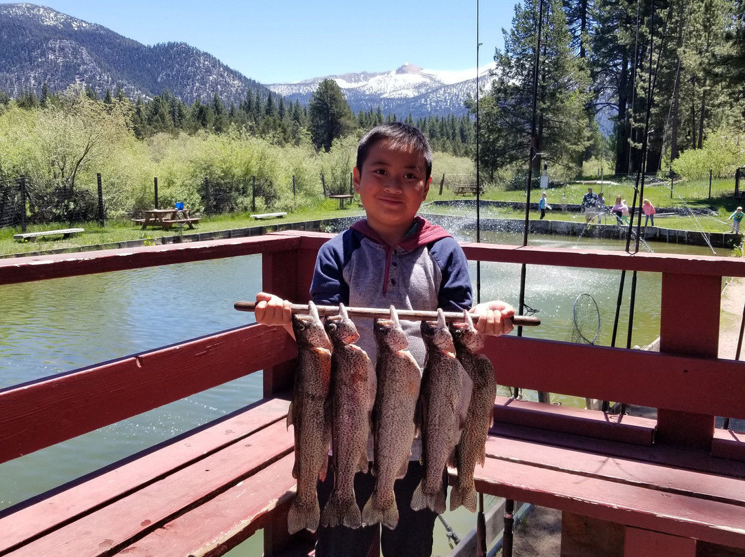 Tahoe Trout Farm-南太浩湖必去景点