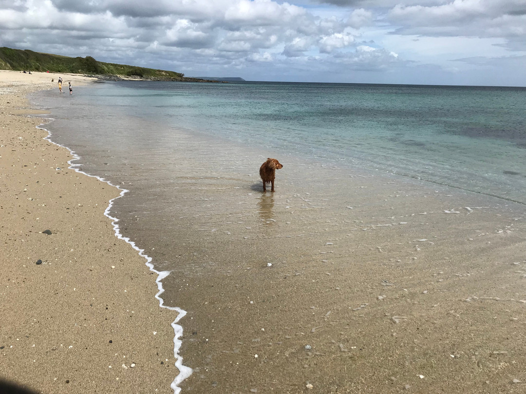 Towan Beach - The Roseland景点图片