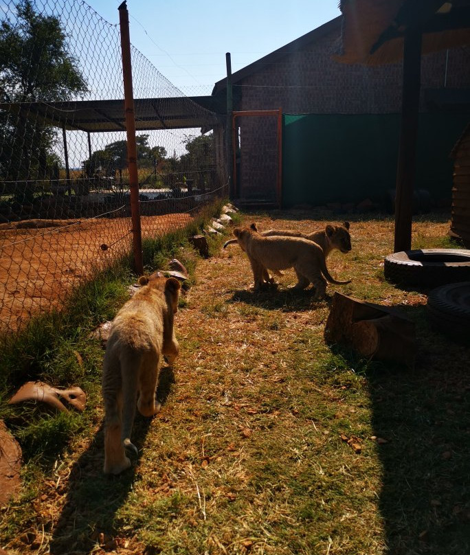 Rustenzicht Lodge and Wedding Venue主图