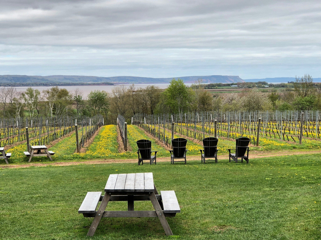 Blue Diamond Tours-哈利法克斯必去景点