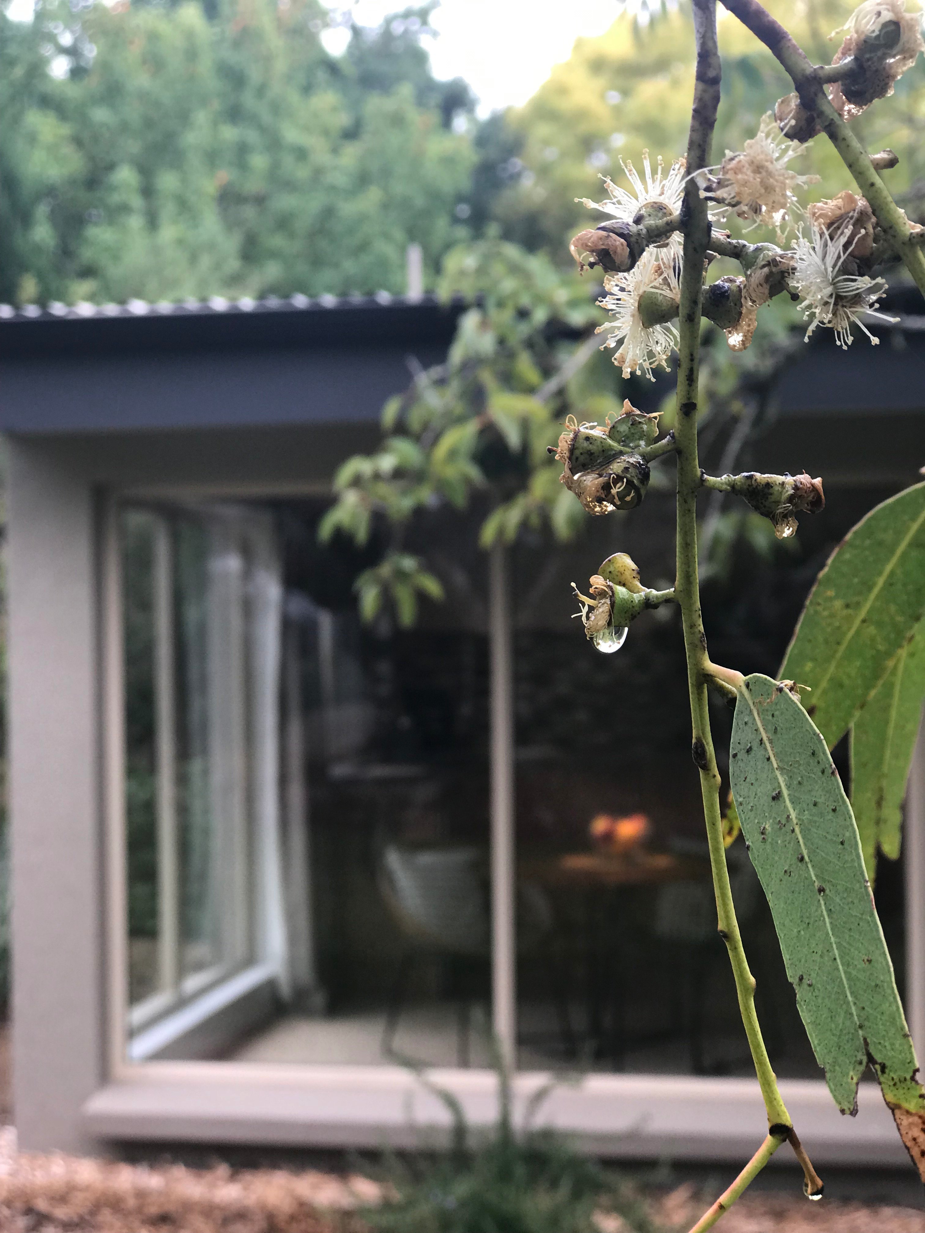 阿德莱德山乡村别墅-官方