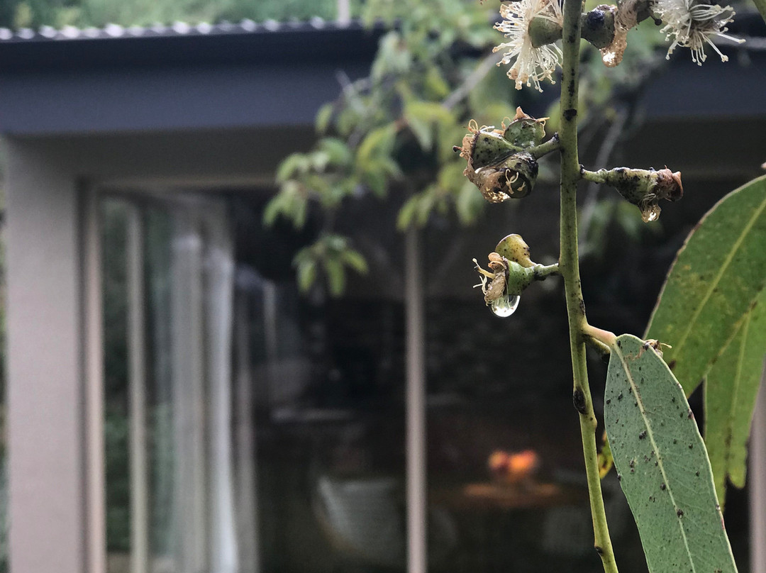 Gumeracha酒店住宿-阿德莱德山乡村别墅