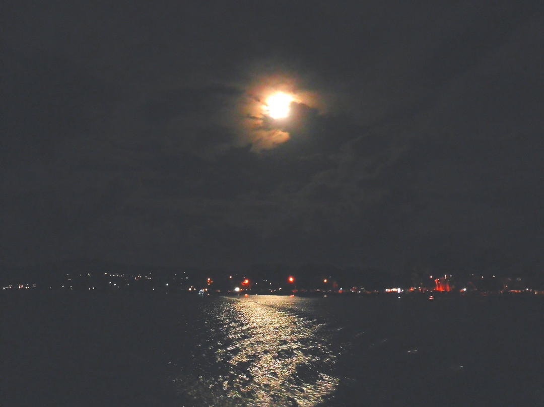 Noosa River & Canal Cruises-努萨维尔必去景点