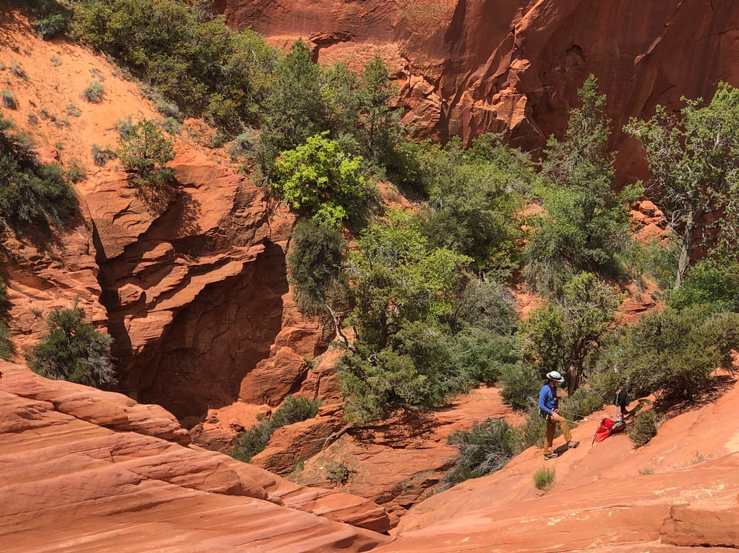Zion East Adventures-Mount Carmel必去景点