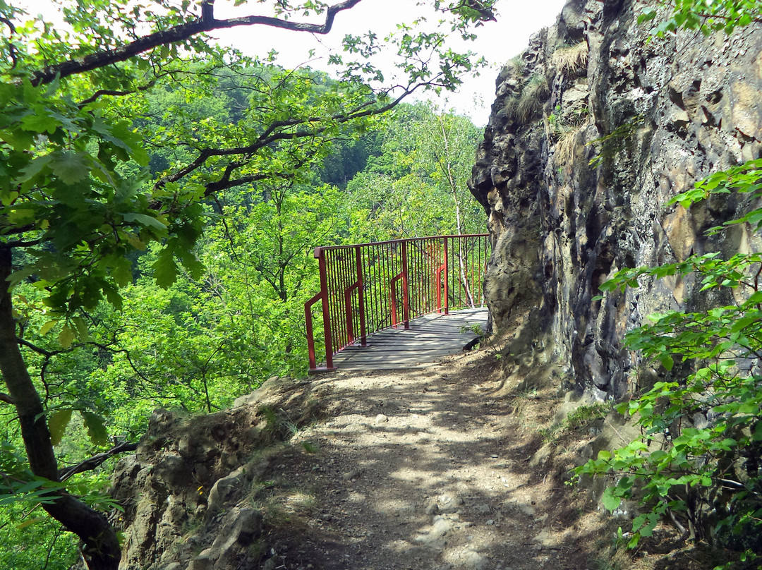 Książ Landscape Park-Walbrzych必去景点