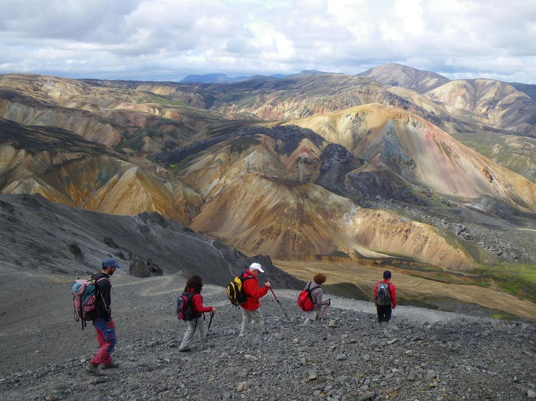 Arctic Yeti-雷克雅未克必去景点