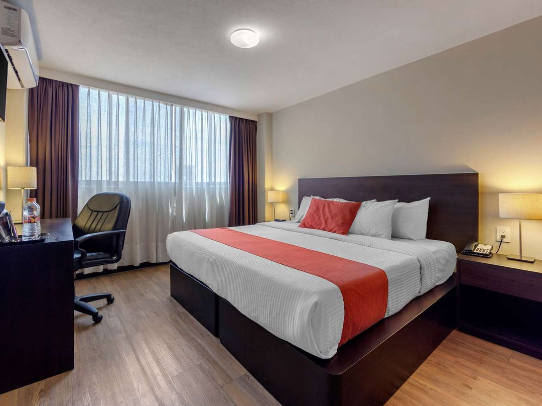 Comfort Inn San Luis Potosi主图