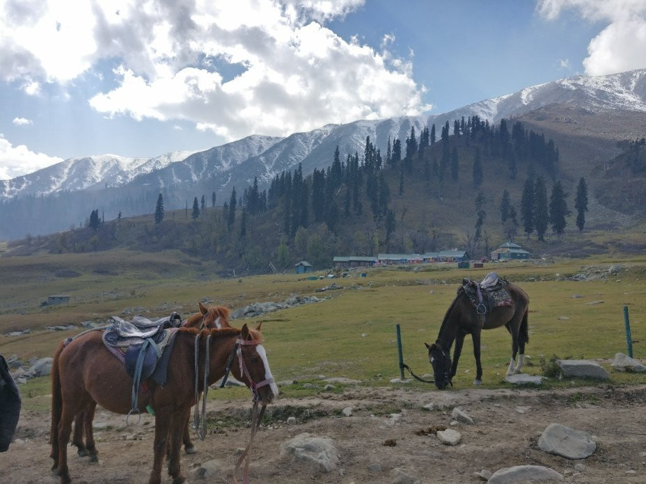 Gulmarg Meadows主图
