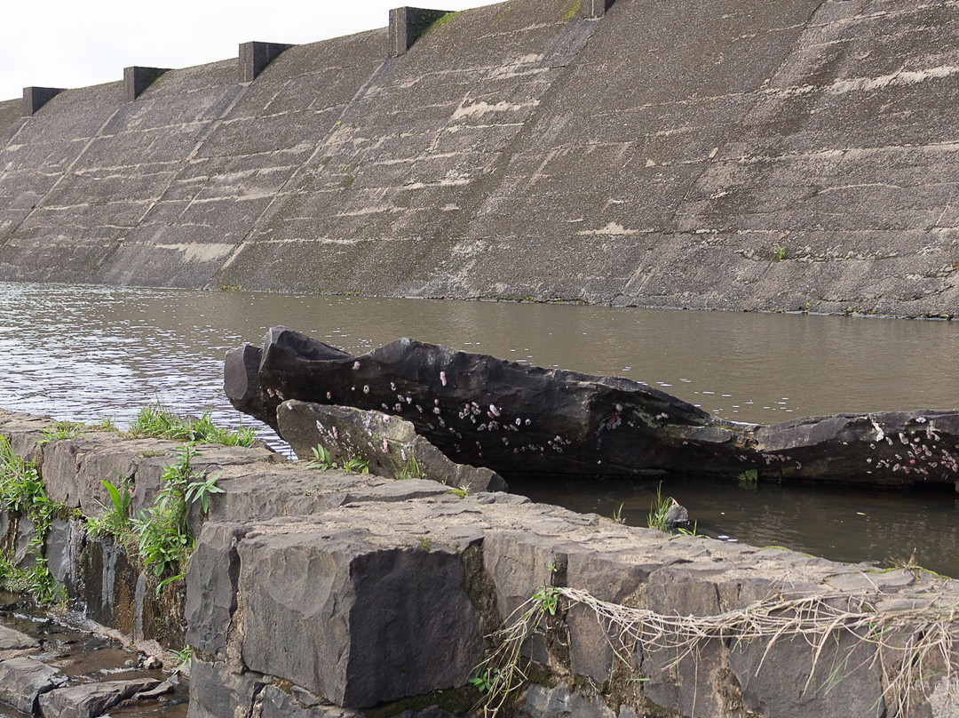 Barragem do Salto-Sao Francisco de Paula必去景点