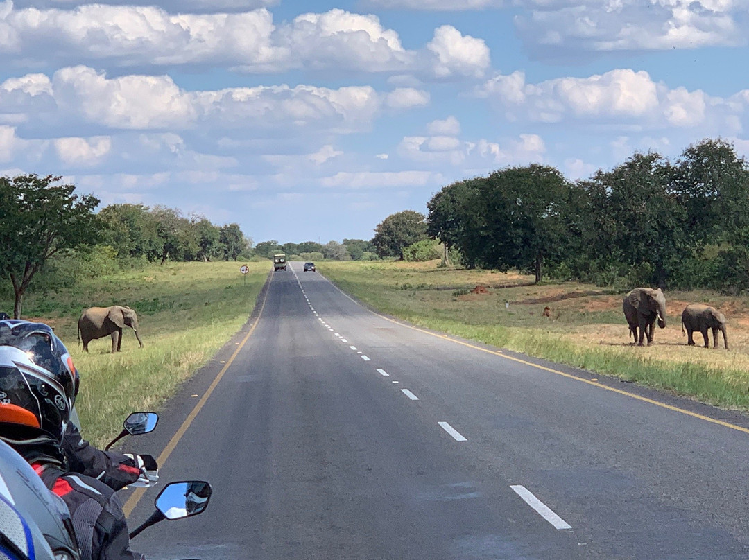 Africa Twin Adventures景点图片