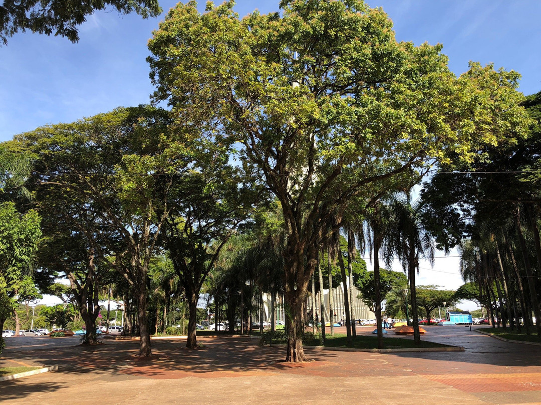 Praca de Convivencia - Calcadao-Maringa必去景点