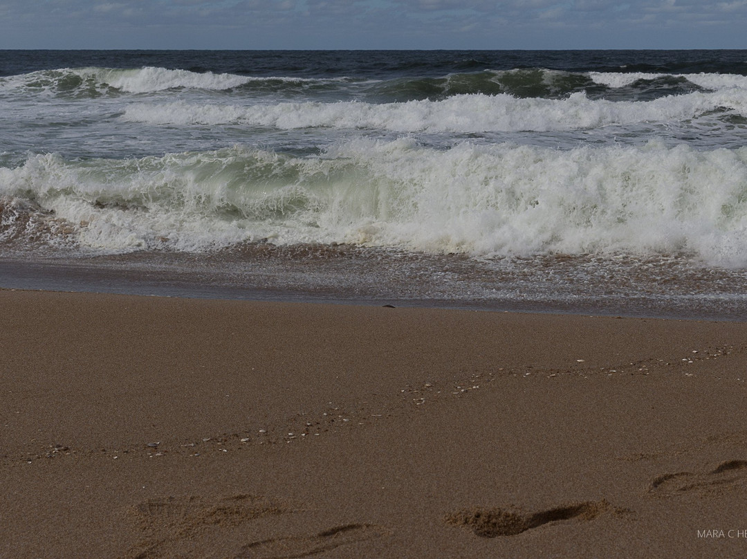 Sendero Barra de la Laguna-La Pedrera必去景点