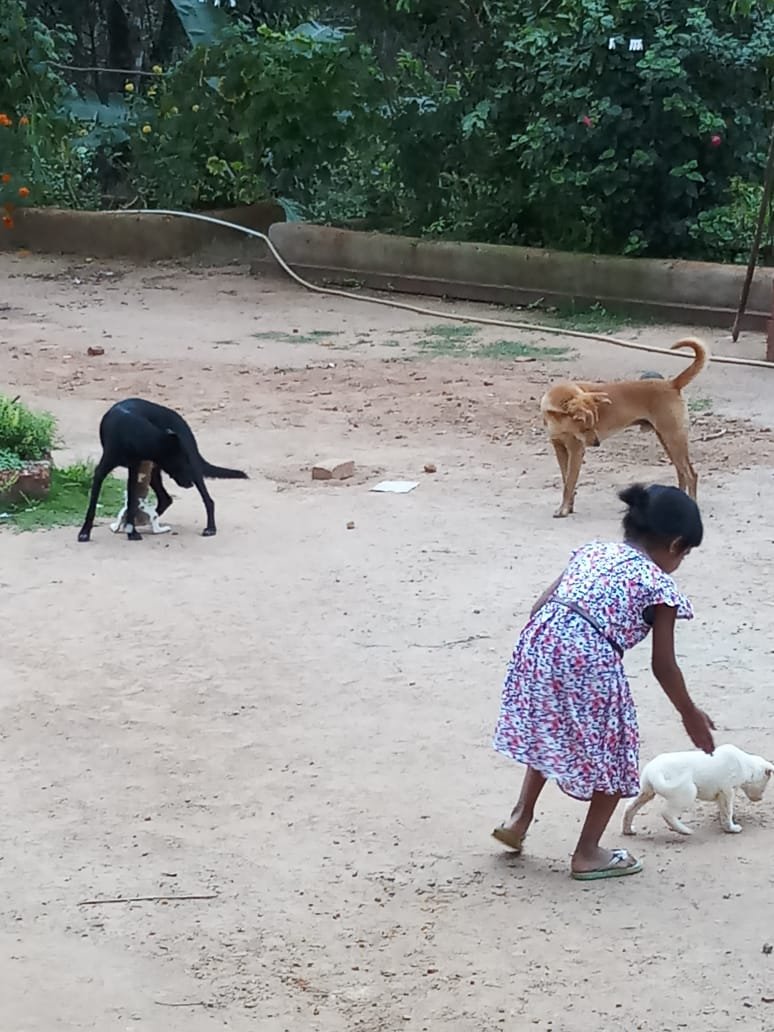 Redhouse Homestay - Hidden Valley Coorg-浴室