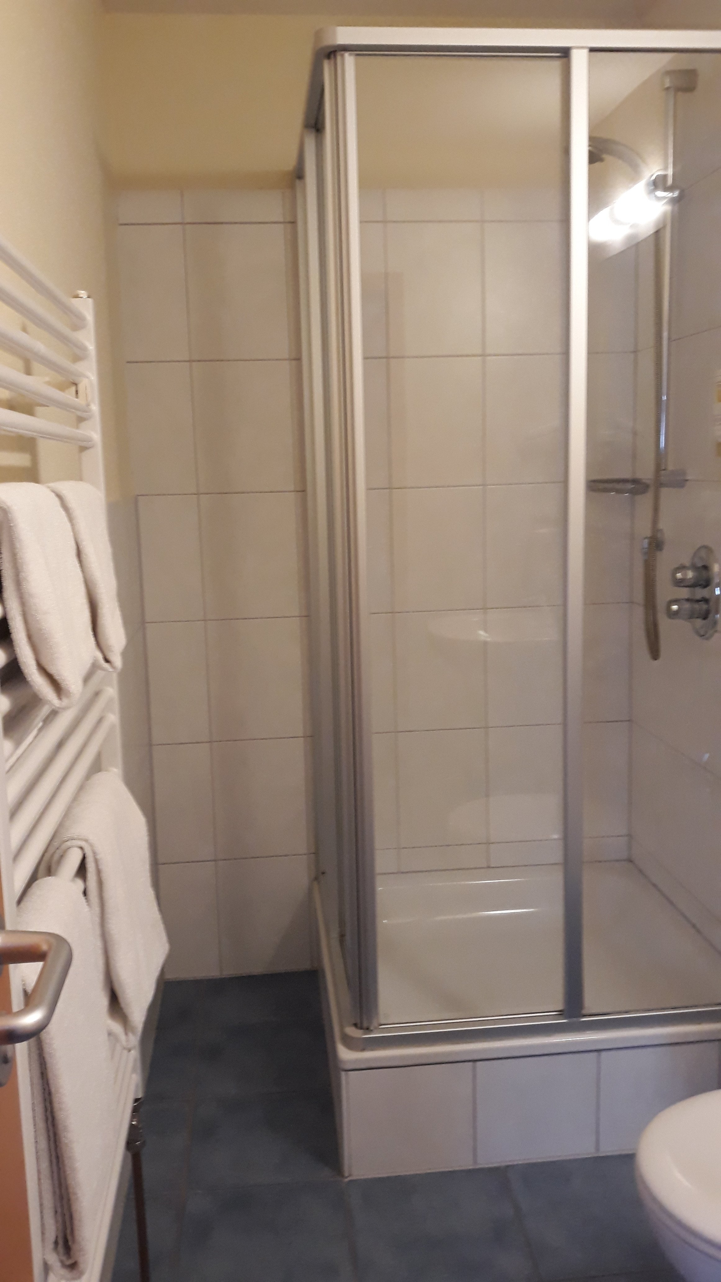 Metzgereigasthof Rebstock-浴室