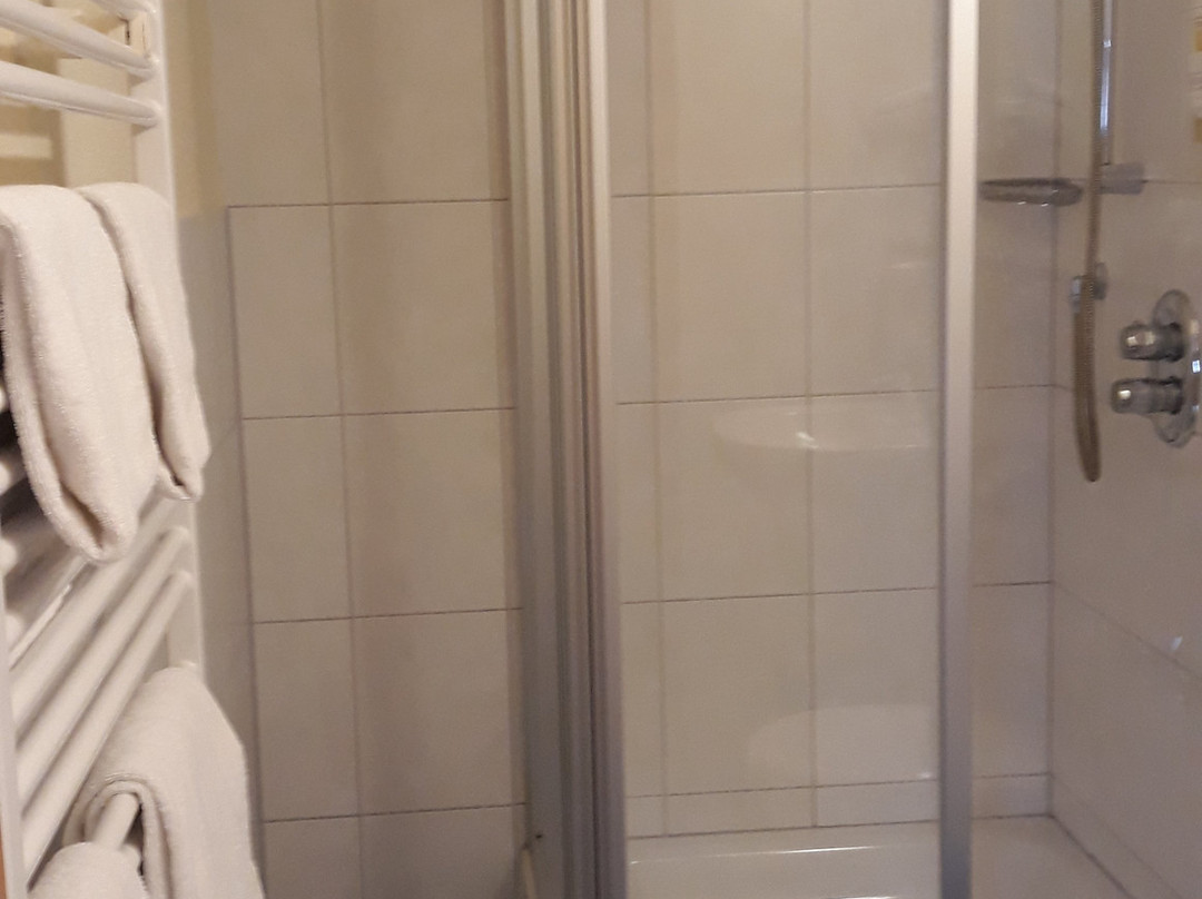 Metzgereigasthof Rebstock主图