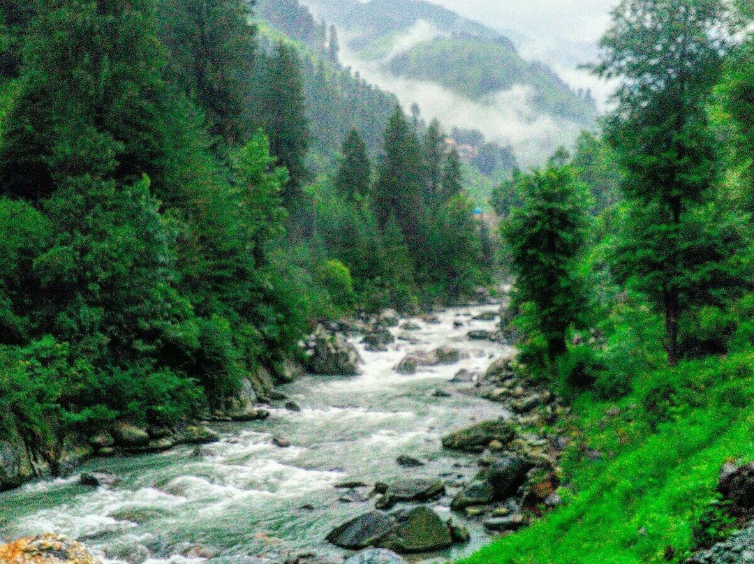 Homestay Barot Valley