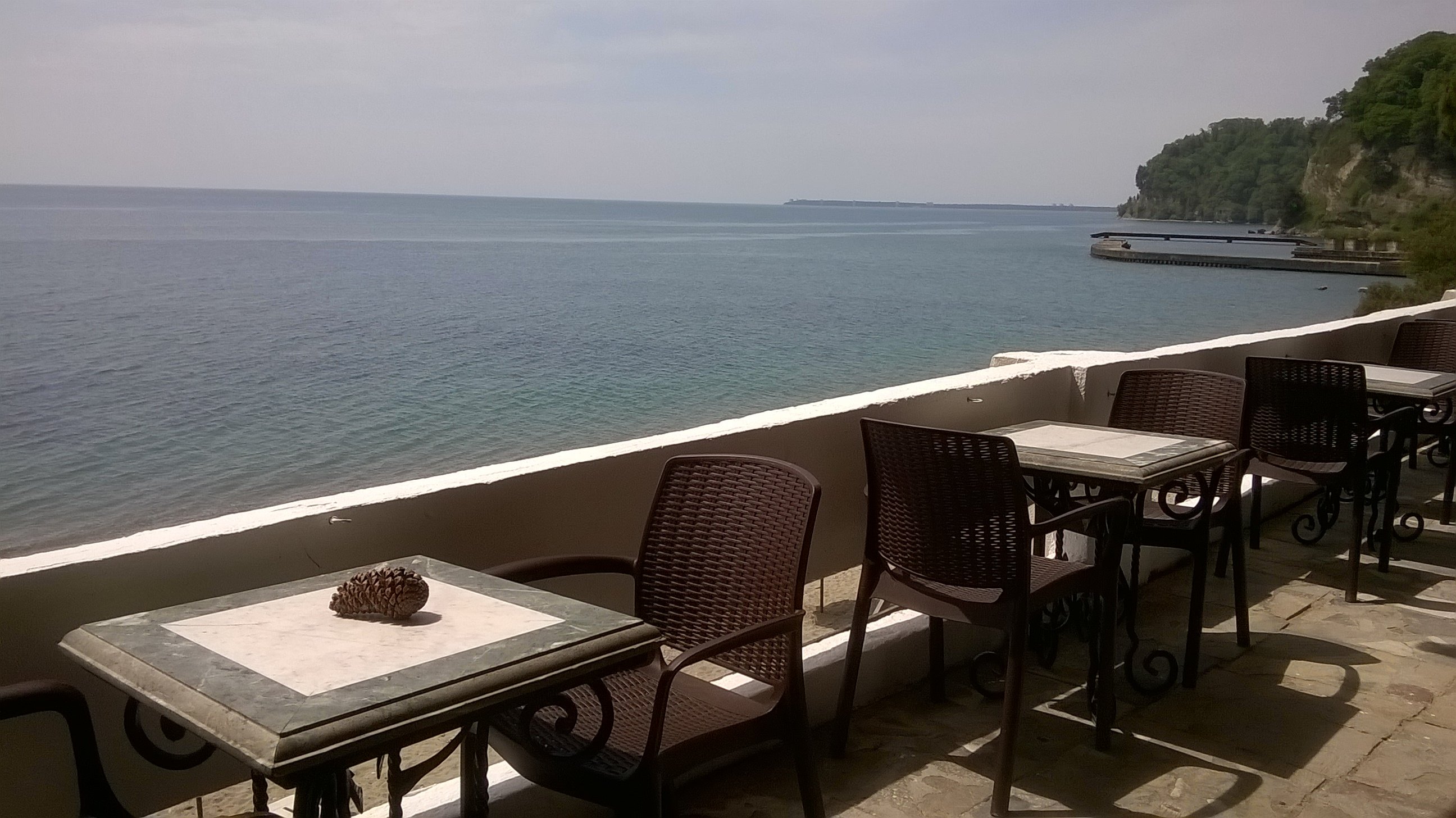 Pansionat Im. N. Lakoba Myussera-餐饮