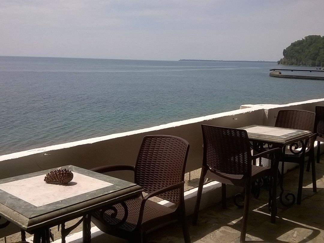 Pansionat Im. N. Lakoba Myussera主图