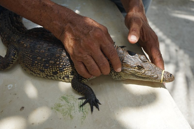 Wotoch Aayin (la Casa Del Cocodrilo)-Calkini必去景点