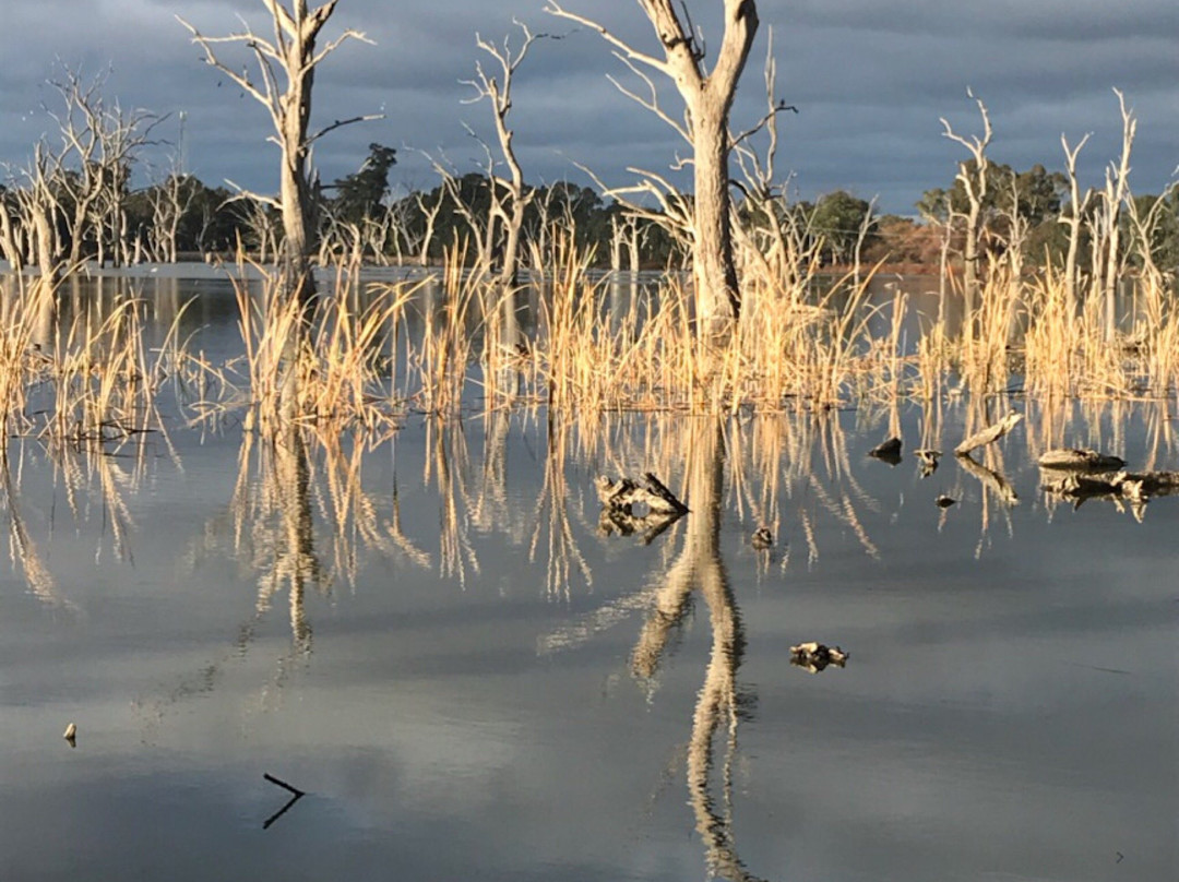 Gum Swamp & Bird Hide景点图片