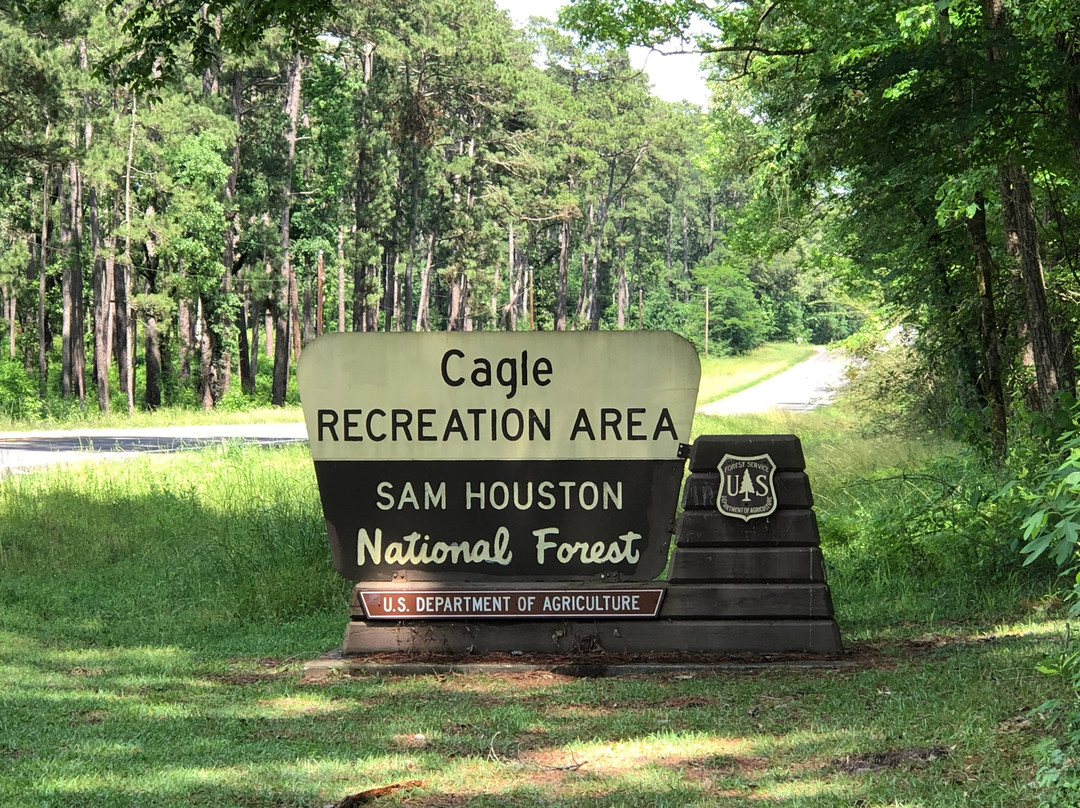 Sam Houston National Forest景点图片