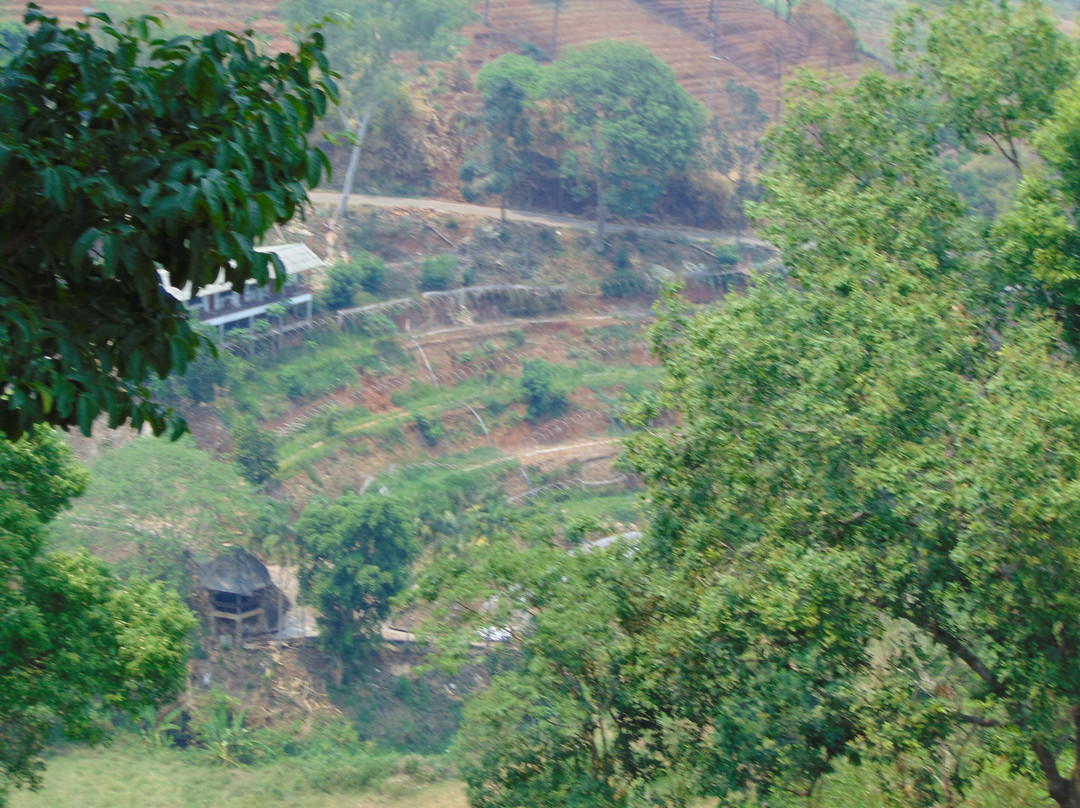 Pong Yang Elephant Camp-夜林必去景点